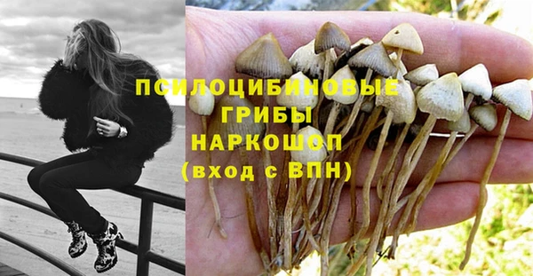 амф Красноперекопск