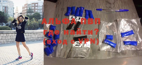 гашик Анжеро-Судженск
