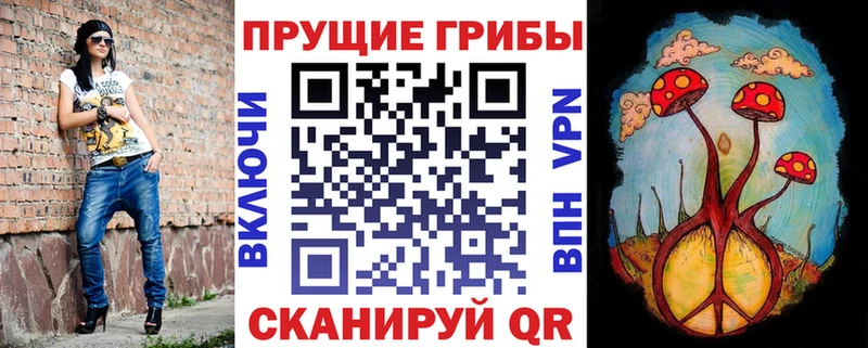 кракен зеркало  Мещовск  Псилоцибиновые грибы GOLDEN TEACHER 